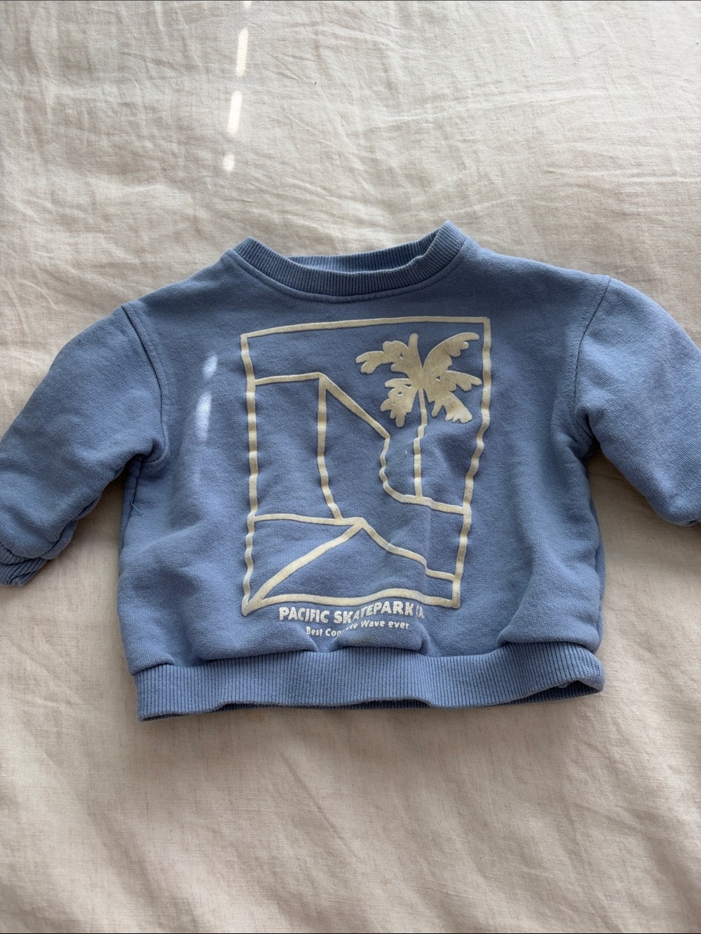 Zara Blue Kids Sweatshirt with Palm Graphic